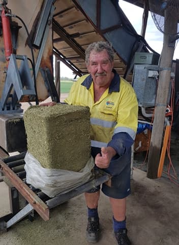 Alfa Vital worker holding a compressed lucerne chaff bale on the farm